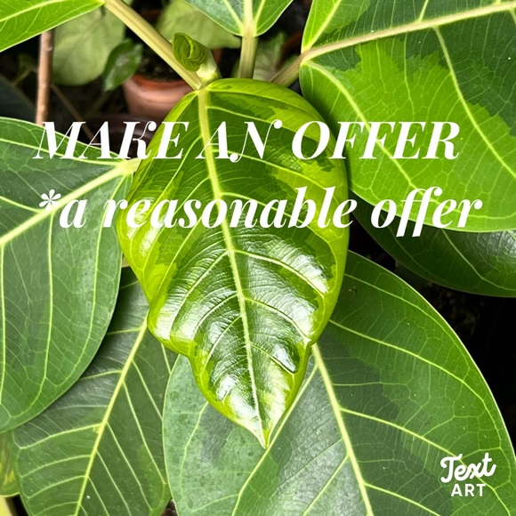 REASONABLE OFFERS👍 - Picture 6 of 13